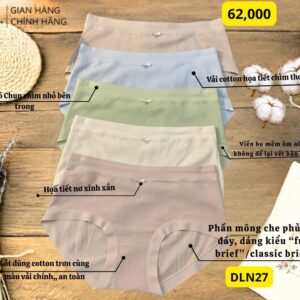 DLN27 - Quần lót nữ