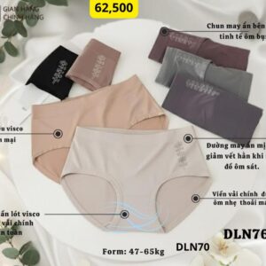 Quần Lót Visco DLN70