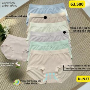 DLN37 - Quần lót nữ