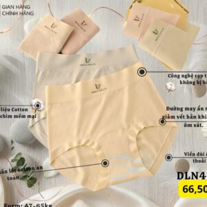 DLN47.1 - Quần lót nữ